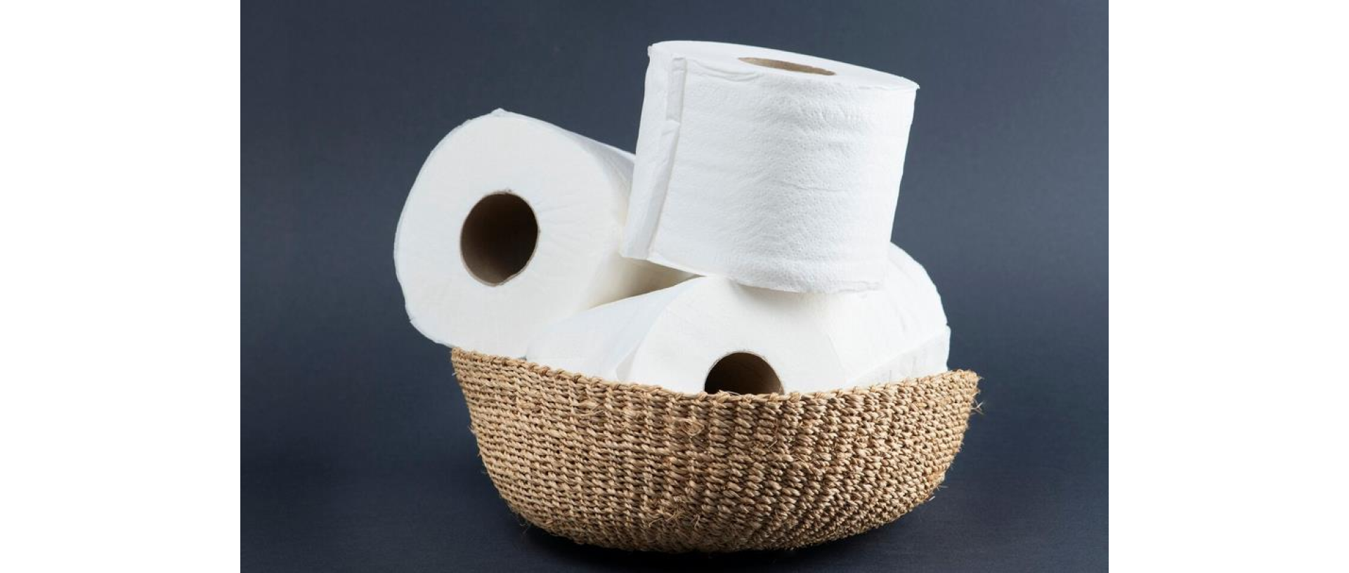 toilet-paper-basket.png