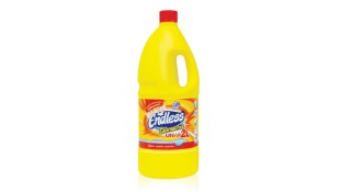 ENDLESS GEL 2 LT* Καθαριστικά/Απορρυπαντικά