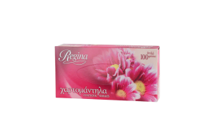 ΧΑΡΤΟΜΑΝΤΗΛΑ REGINA 100Φ* Είδη Καθαρισμού