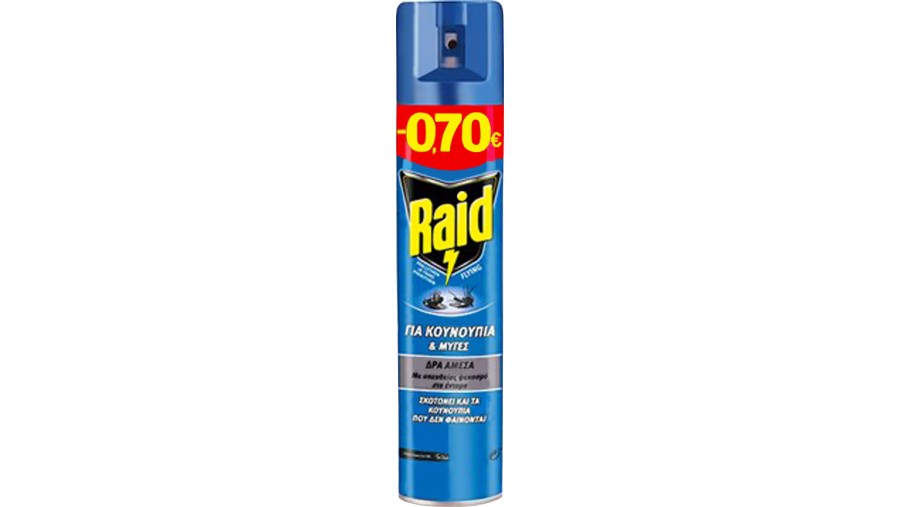 RAID ΓΙΑ ΕΝΤΟΜΑ 300ML * Εξοπλισμός