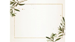 ΣΟΥΠΛΑ ΛΕΥΚΟ ΕΛΙΑ PLAIN 250 TEM* Εξοπλισμός