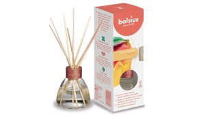 ΑΡΩΜΑΤΙΚΟ ΜΕ ΣΤΙΚ BOLSIUS 45 ML* Καθαριστικά/Απορρυπαντικά